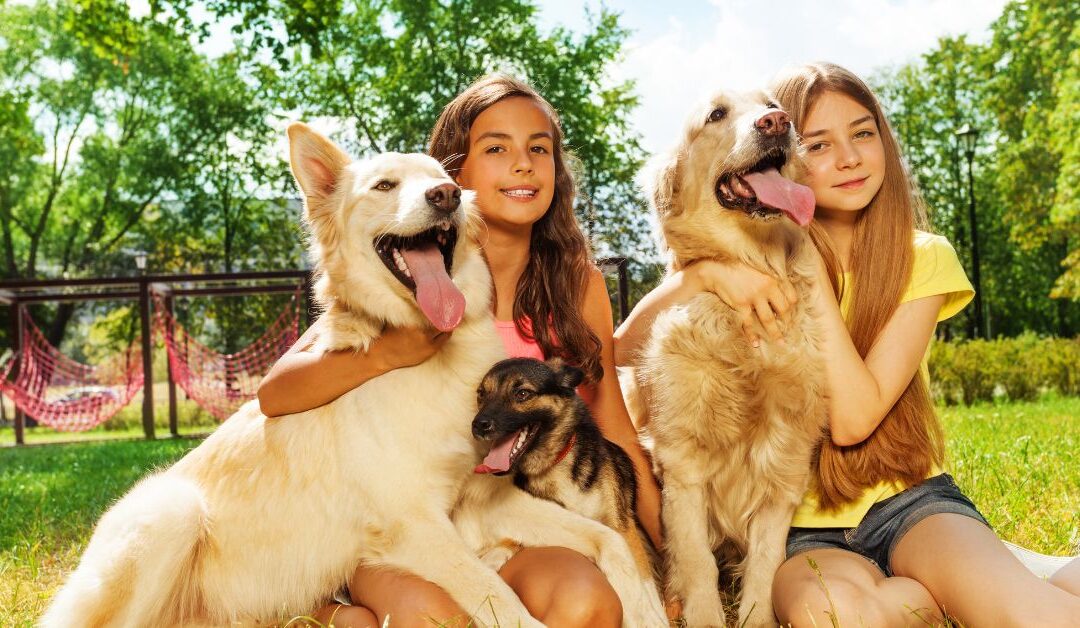 How to Travel Safely with Your Pet Using the Right Gear and Accessories