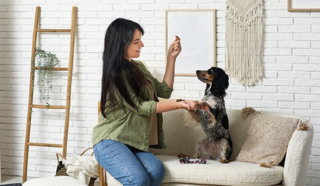 Top Pet Training & Behavior Trends for 2025: How to Raise a Happier, Smarter Pet